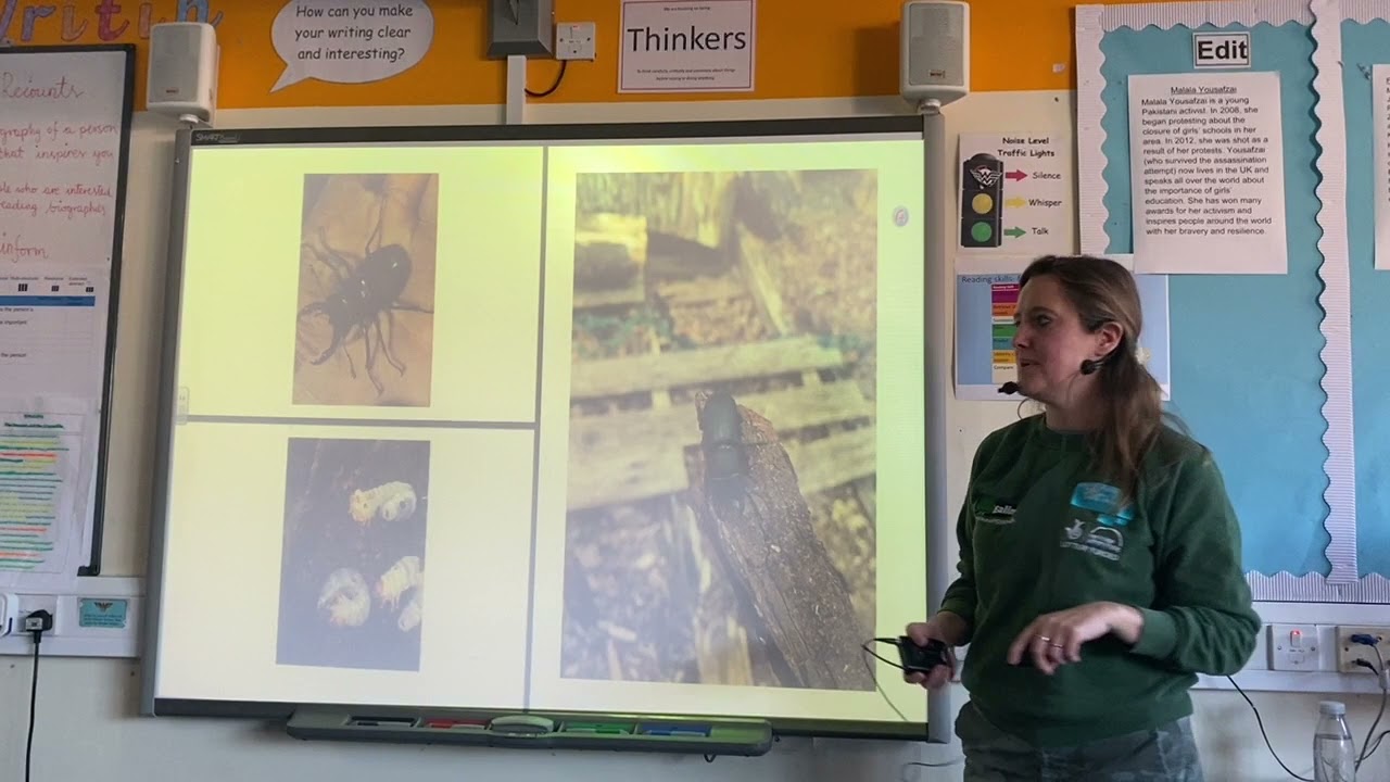 Bugs Birds Bats Biodiversity Talk Yr 5 Dec 21 N Gavin